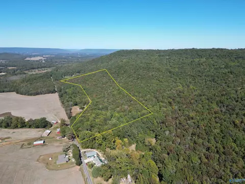 61 5 Ac Butler Mill Rd, Grant, AL 35747 photo 1