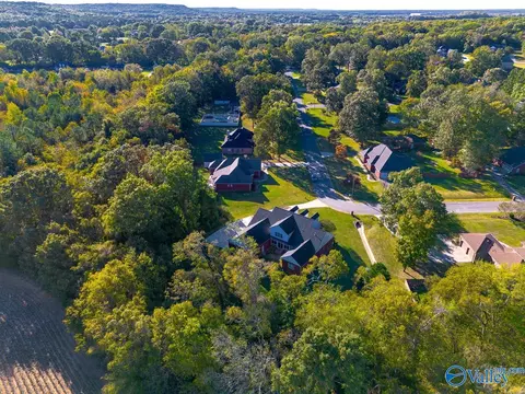 372 Forest Home Dr, Trinity, AL 35673 photo 44