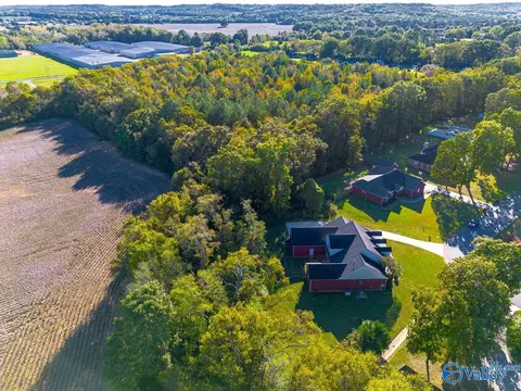 372 Forest Home Dr, Trinity, AL 35673 photo 46