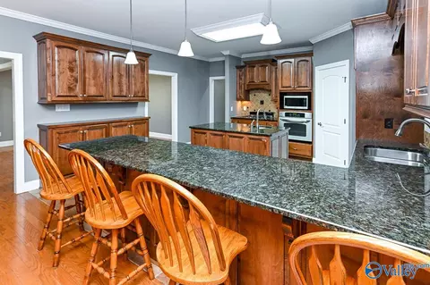 372 Forest Home Dr, Trinity, AL 35673 photo 11