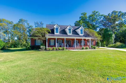 372 Forest Home Dr, Trinity, AL 35673 photo 49