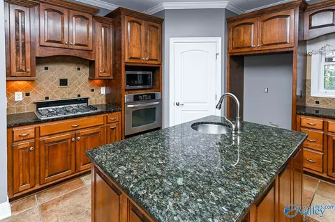 372 Forest Home Dr, Trinity, AL 35673 photo 13