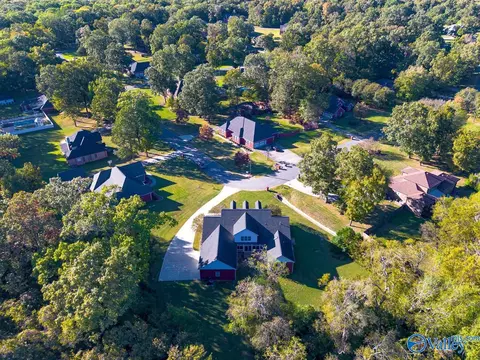 372 Forest Home Dr, Trinity, AL 35673 photo 42