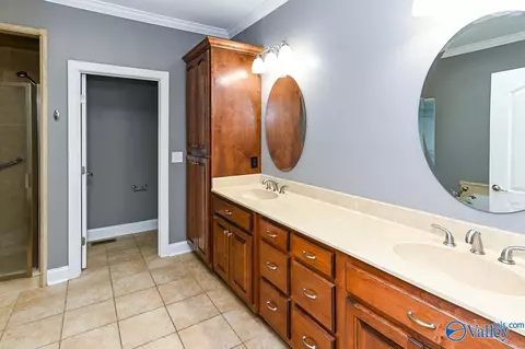 372 Forest Home Dr, Trinity, AL 35673 photo 18