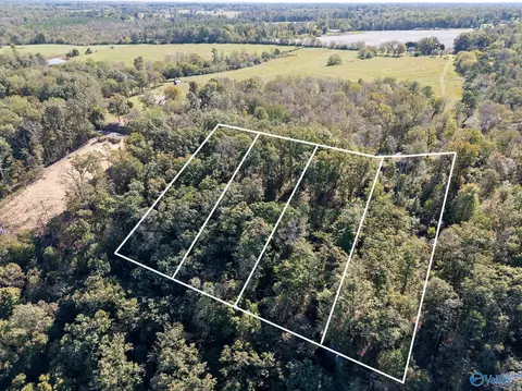 lot2 County Road 224, Dutton, AL 35744 photo 11