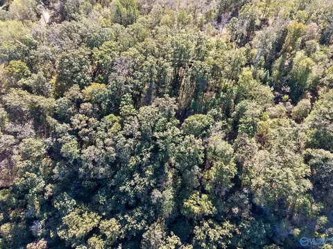lot2 County Road 224, Dutton, AL 35744 photo 3