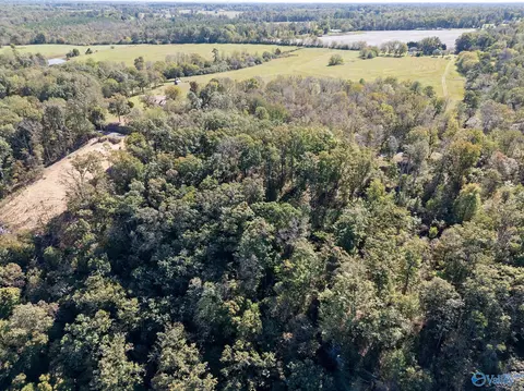 lot2 County Road 224, Dutton, AL 35744 photo 10