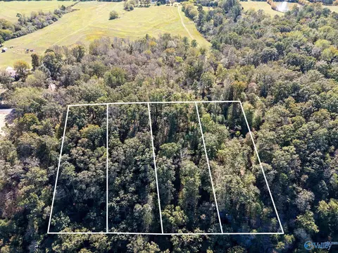 lot2 County Road 224, Dutton, AL 35744 photo 7