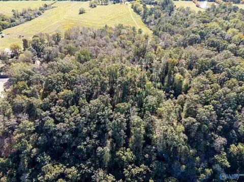lot4 County Road 224, Dutton, AL 35744 photo 6