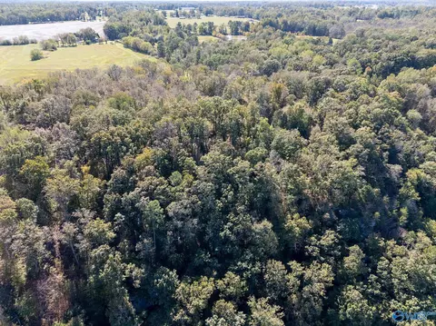 lot4 County Road 224, Dutton, AL 35744 photo 12