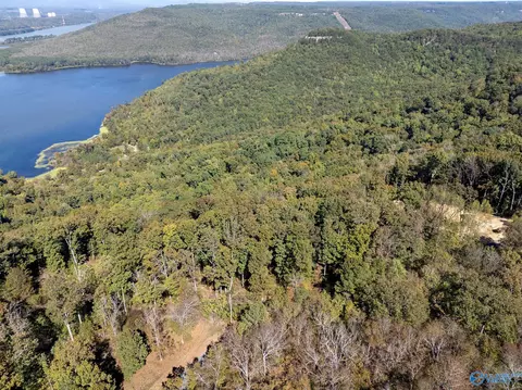 lot4 County Road 224, Dutton, AL 35744 photo 8