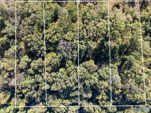 lot4 County Road 224, Dutton, AL 35744 photo 4