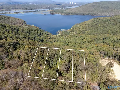 lot4 County Road 224, Dutton, AL 35744 photo 9