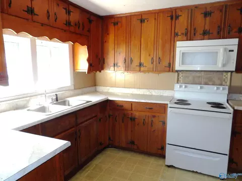 350 County Road 347, Trinity, AL 35673 photo 8