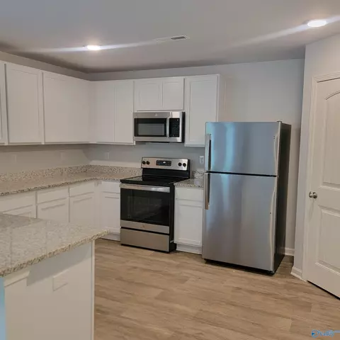 111 NE 10th Ave, Arab, AL 35016 photo 11
