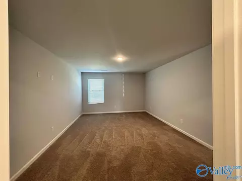 111 NE 10th Ave, Arab, AL 35016 photo 24