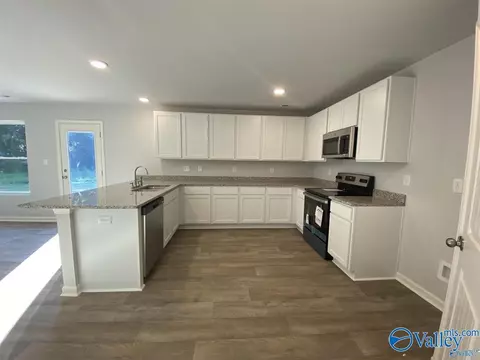 111 NE 10th Ave, Arab, AL 35016 photo 14