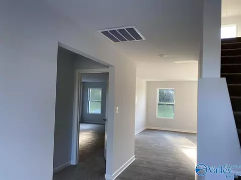 111 NE 10th Ave, Arab, AL 35016 photo 13