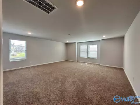 111 NE 10th Ave, Arab, AL 35016 photo 15