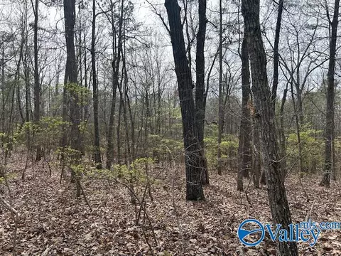 12 Peck Mountain Rd, Eva, AL 35621