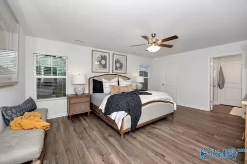 171 Maple Spring Trl, Madison, AL 35758 photo 18