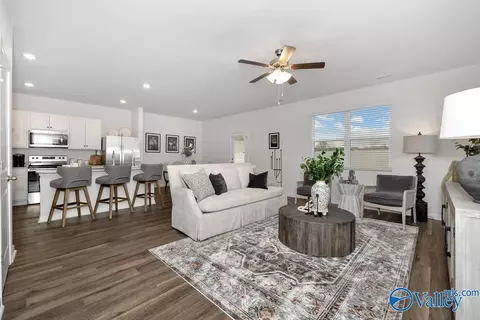 171 Maple Spring Trl, Madison, AL 35758 photo 3