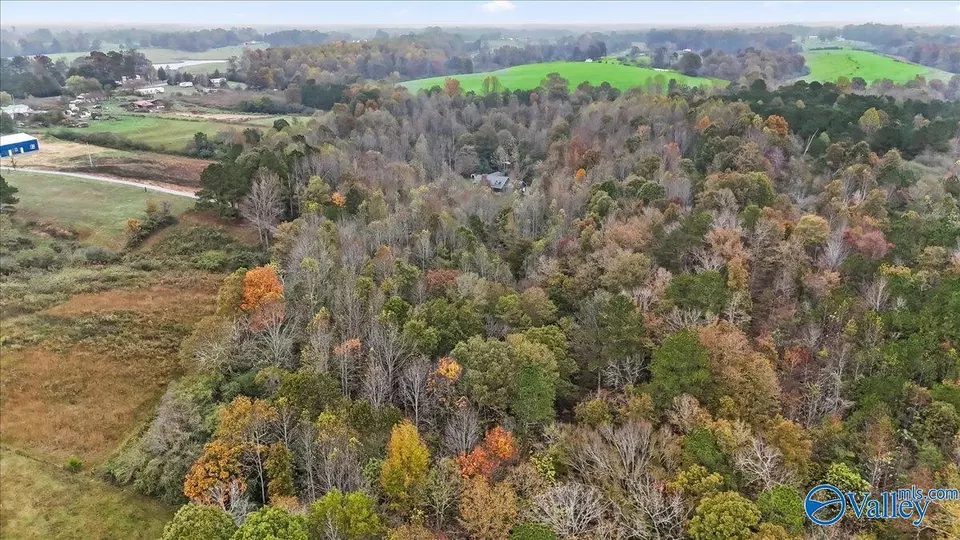  772 County Road 130, Addison, AL 35540 photo 43