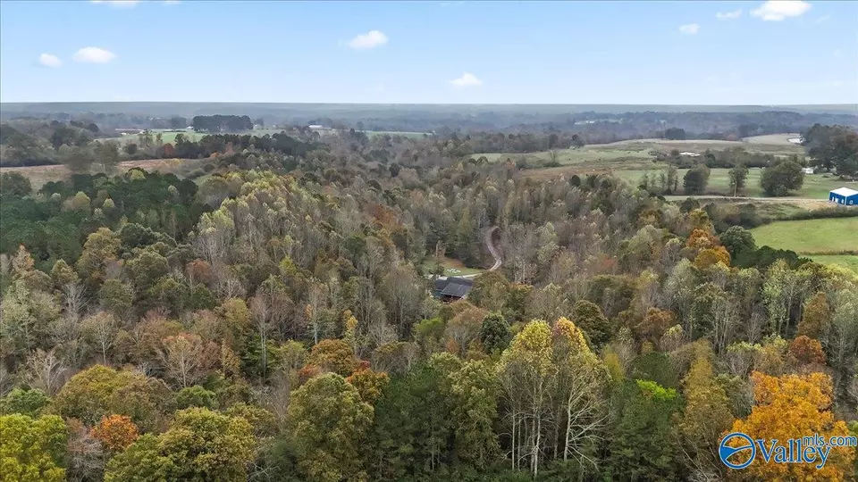 772 County Road 130, Addison, AL 35540 photo 40