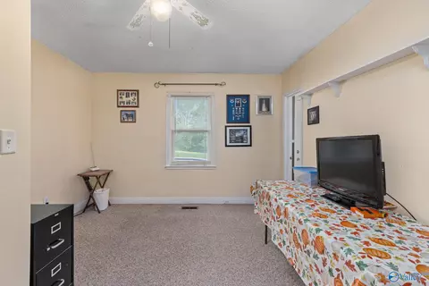 2534 County Road 358, Trinity, AL 35673 photo 27