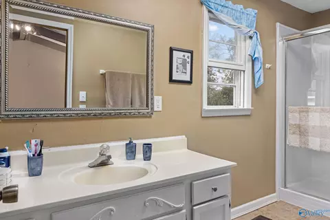 2534 County Road 358, Trinity, AL 35673 photo 22