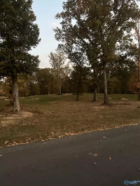 100 River Rd, Altoona, AL 35952