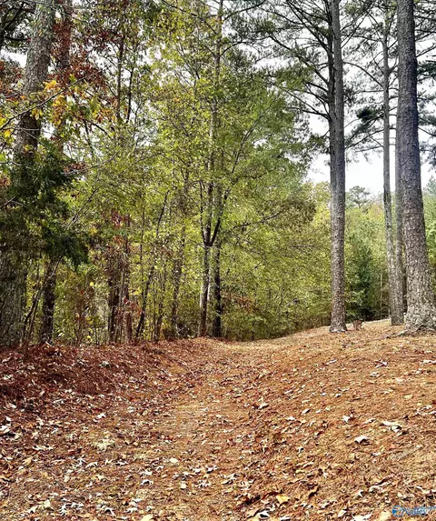 6408 Trussville Clay Rd, Trussville, AL 35173