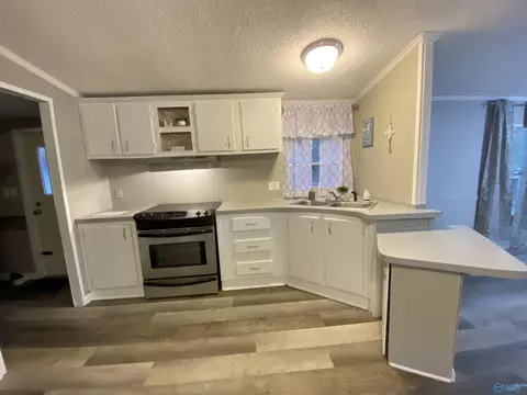 573 County Road 431, Trinity, AL 35673 photo 5