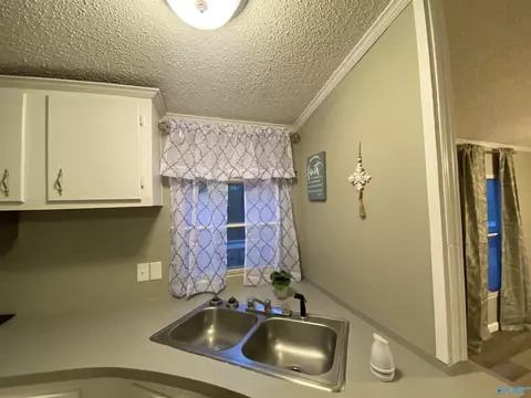 573 County Road 431, Trinity, AL 35673 photo 8