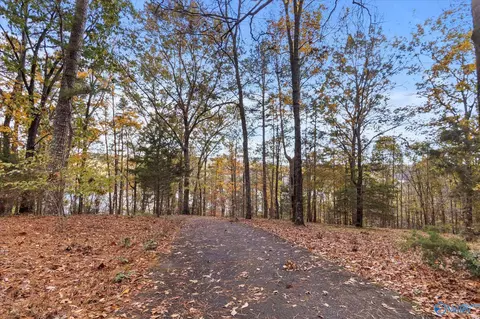 51 Cooper Hill Rd, Grant, AL 35747 photo 3