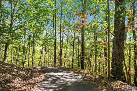 51 Cooper Hill Rd, Grant, AL 35747 photo 4