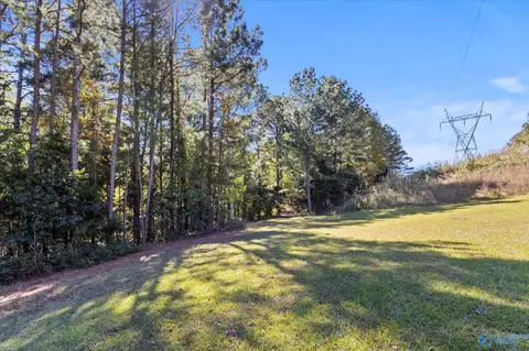 51 Cooper Hill Rd, Grant, AL 35747 photo 32