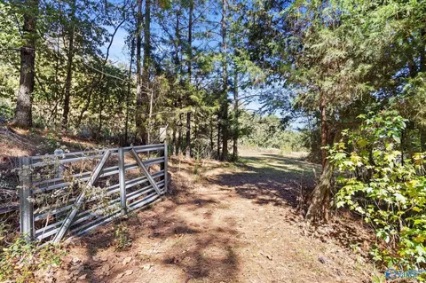 51 Cooper Hill Rd, Grant, AL 35747 photo 31