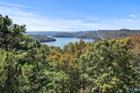 51 Cooper Hill Rd, Grant, AL 35747 photo 5
