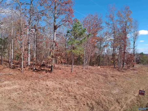 56 Raymond Ln, Southside, AL 35907