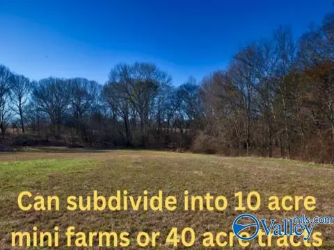 271 Acres Joe Quick Rd, Hazel Green, AL 35750