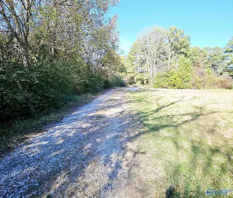 4939 County Road 214, Trinity, AL 35673 photo 6