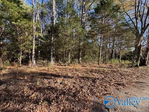 2 Acres Capshaw Rd, Madison, AL 35757 photo 6