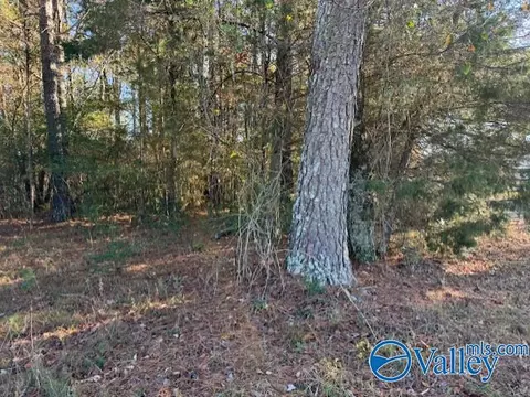 2 Acres Capshaw Rd, Madison, AL 35757 photo 4