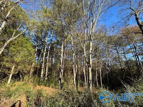 2 Acres Capshaw Rd, Madison, AL 35757 photo 5