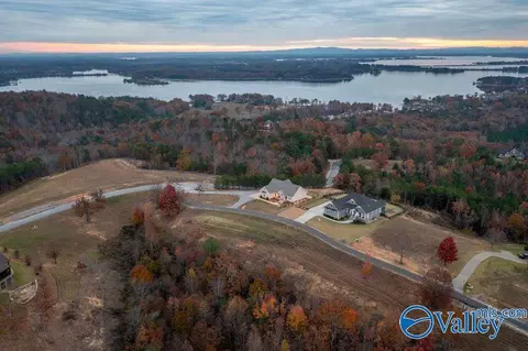 View/Area - 65 County Road 1014, Cedar Bluff, AL 35959 photo 7 of 8