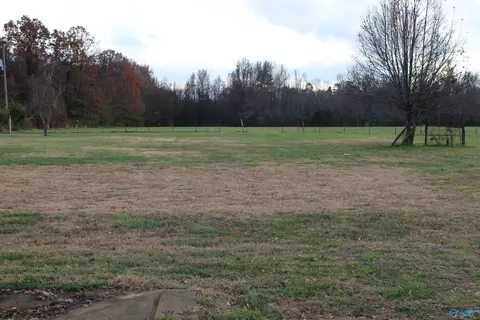 6658 County Road 214, Trinity, AL 35673 photo 28