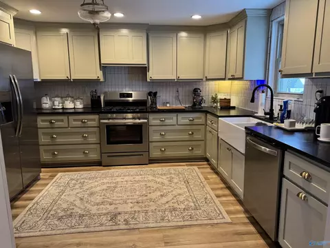 6658 County Road 214, Trinity, AL 35673 photo 10