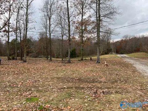 80 Vincent, Eva, AL 35621 photo 7