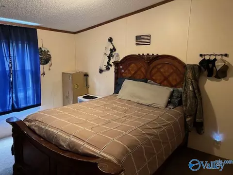80 Vincent, Eva, AL 35621 photo 4